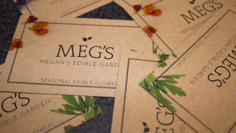 Megan’s Edible Garden